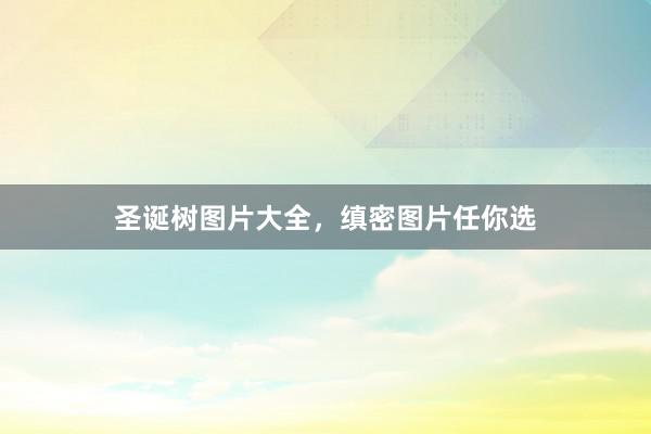 圣诞树图片大全，缜密图片任你选